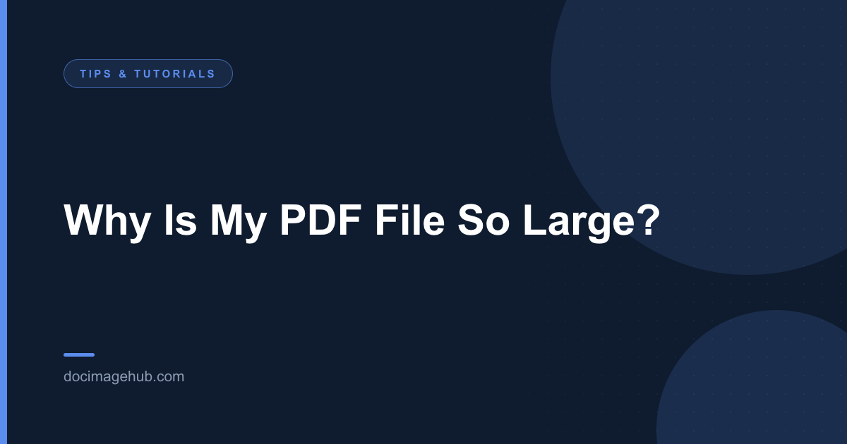Why Is My PDF File So Large?